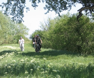  Paseo en BTT por la Camarga 